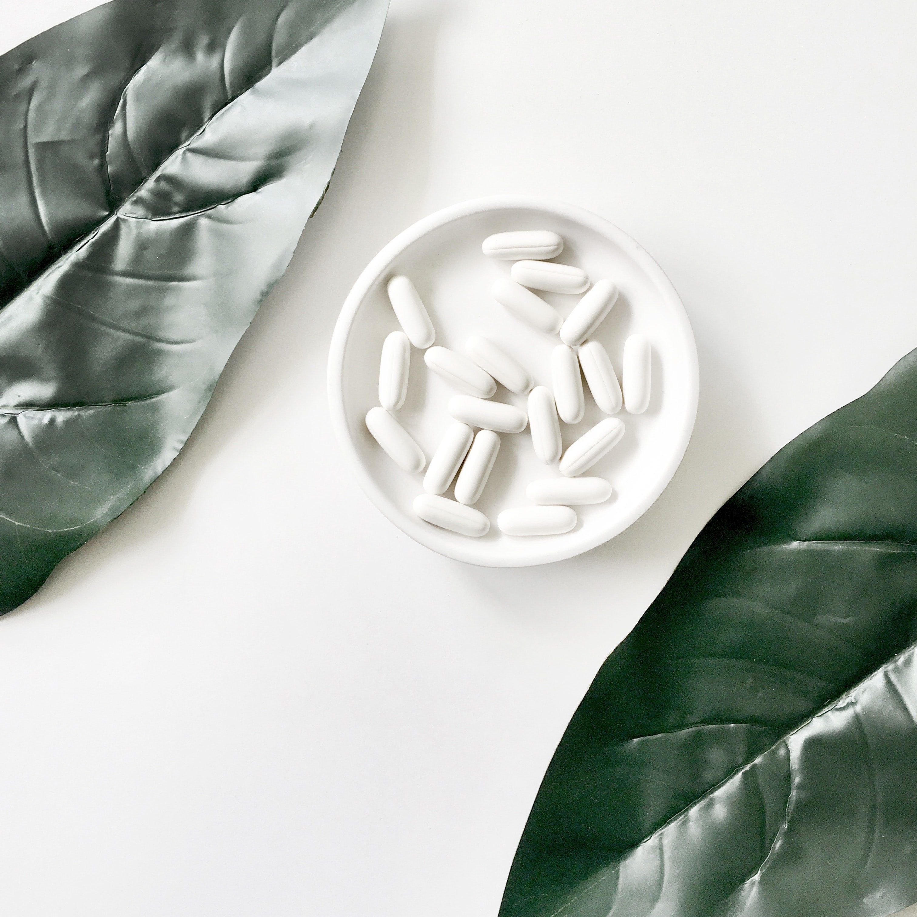 The New Fountain of Health and Well Being