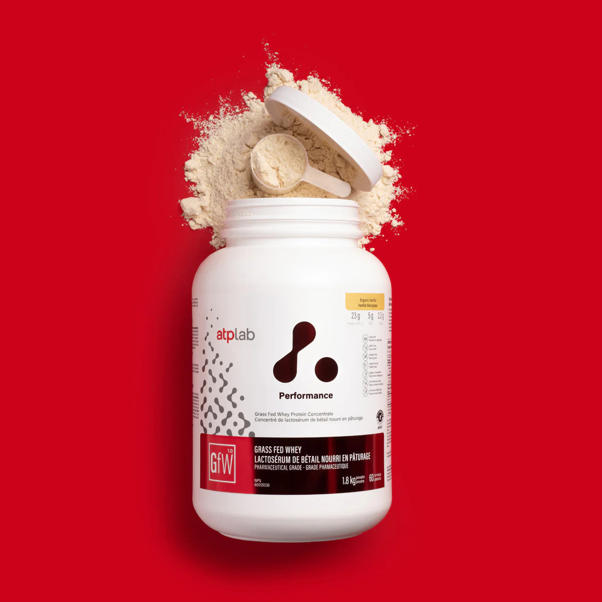 Whey Protein - Grass Fed - Vanilla - ATP Labs
